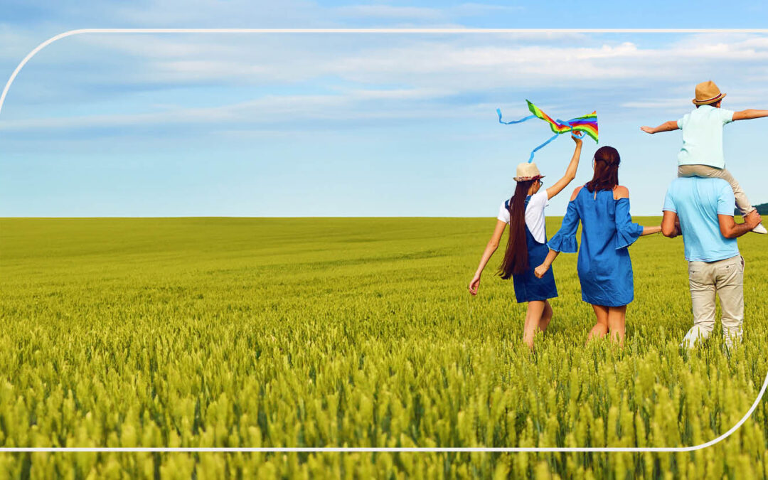 Protecting Public Health: How Emerald Ensures Safe EfW Operations