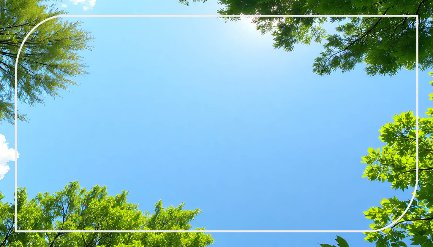 Cleaner Air, Lower Emissions: Environmental Benefits of Modern Waste to Energy Systems